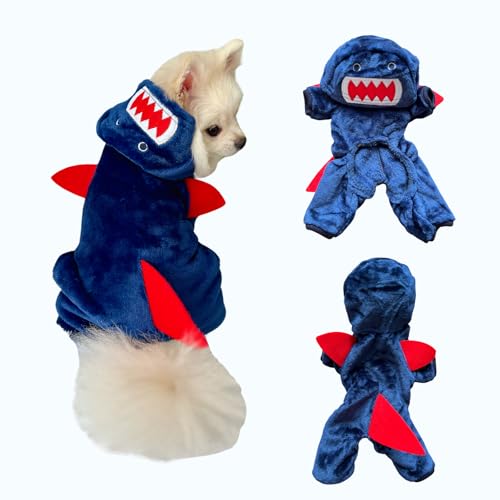 p T RX`[ p[J[bt[Xf ݁bH~p  XS?XL (L)