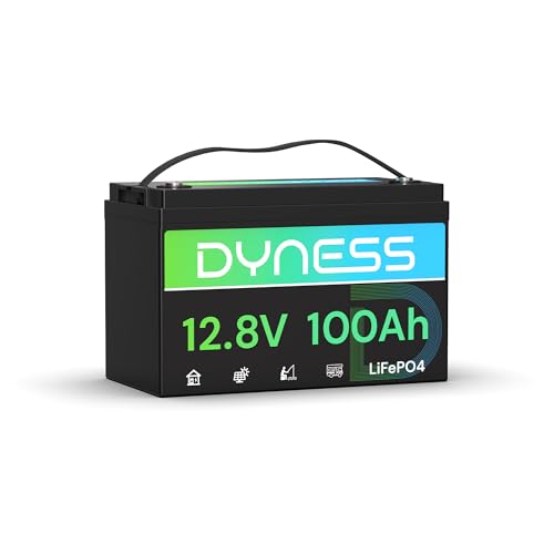 Dyness Batteria Litio 12V 100Ah LiFePO4 a Ciclo profondo con 100A BMS, Protezione Dalle Basse Temperature, Max. 15000 cicli, per Camper, Impianti Solari off-grid, Fotovoltaico Accumulo