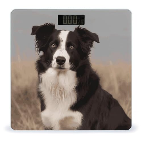 Báscula digital inteligente para baño Border Collie miniatura 1
