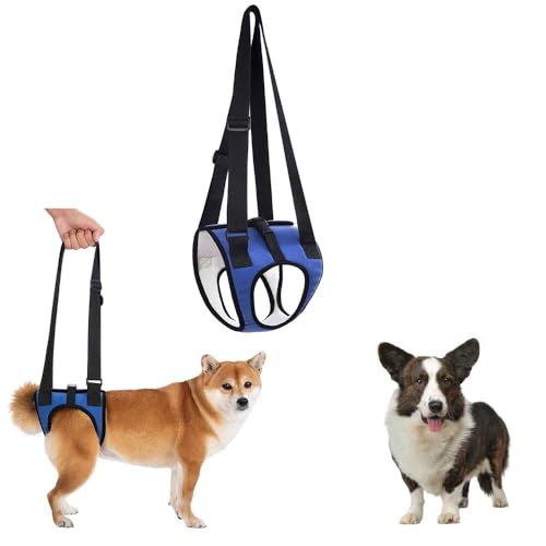 リード 犬用介護ハーネス」の人気商品一覧 | 安い商品を通販サイトから