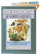 Mushrooms of North America