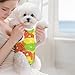 Citrus of A Slice of Lime Orange Recovery Suit for Dogs Cats Dog Recovery Suit Fit Female and Male Spay Pets Pet Surgery Suit