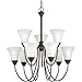 Progress Lighting P4743-20 Contemporary/Soft 9-100W Med Chandelier, 154" x 30" x 30", Antique Bronze