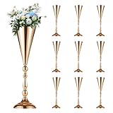 Photo Gallery hyuetrsa 10 vasi da fiori a tromba, centrotavola decorativi da tavolo, vasi da fiori alti, in metallo, per matrimoni, composizioni floreali, per cerimonie, feste, compleanni, matrimoni, decorazioni Photo Gallery hyuetrsa 10 vasi da fiori a tromba, centrotavola decorativi da tavolo, vasi da fiori alti, in metallo, per matrimoni, composizioni floreali, per cerimonie, feste, compleanni, matrimoni, decorazioni