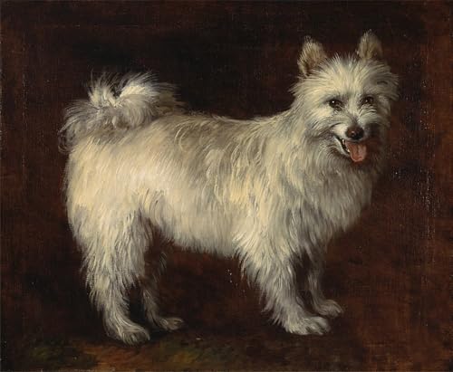 Chien Spitz Tableaux Graffiti Art Mural Impression Poster Gainsborough Moderne 60x90cm