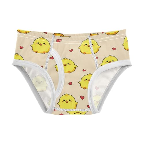 Cute Chick Toddler Boy's Underwear 2T 202c1571