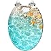 Elongated Toilet Seat seashells summer beach sea water Summer blue Summer time Resin Toilet Seat with Quietly Close Quick Release Hinges Decorative Toilet Seat with Cover Easy to Clean and Install