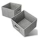 Accessoires de günstig Kaufen-Aufbewahrungsbox 2er Set Grau - LCS Store, Organizer für Kleiderschrank, Büro, Kinderzimmer, Storage box faltbar (27 x 28 x 20cm), Stoffkiste für Kleidung, Spielzeug, Accessoires