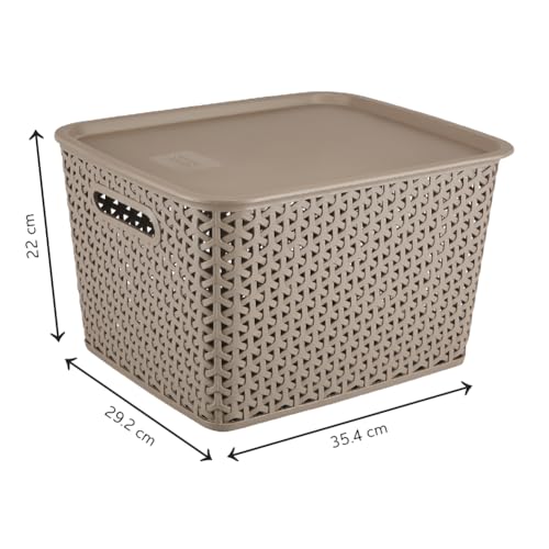 Image of KOLORR Royal Baskets 1 Large Basket with 1 Lid - LT Brown | stackable| easy to clean | strong and durable | BPA free | Multipurpose Plastic Storage Basket, Rectangular
