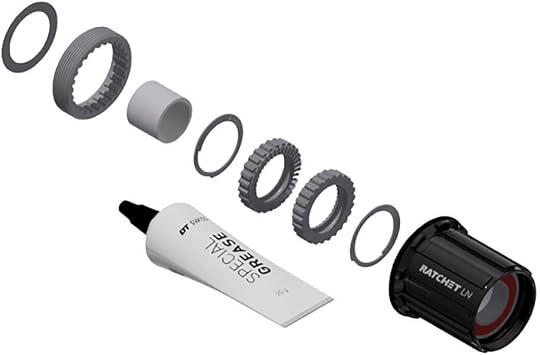 DT Swiss Ratchet LN Freehub Body Upgrade Kit - Shimano HG 11 MTN, Standard, Aluminum, Sealed Bearing, 36T, 2160010958