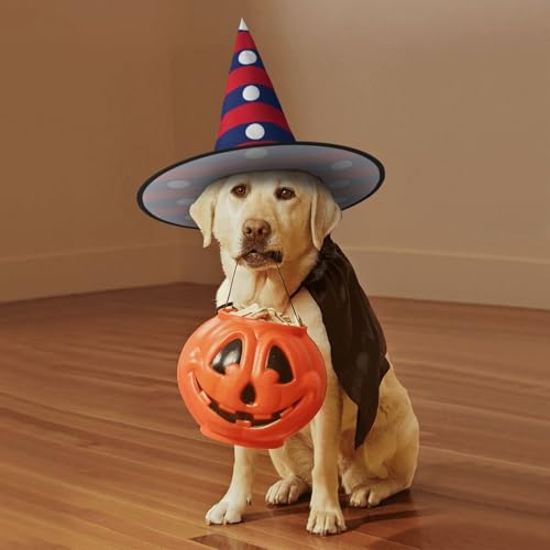 Chapeau de sorcière suspendu Laos pour rompre la monotonie des décors d'Halloween