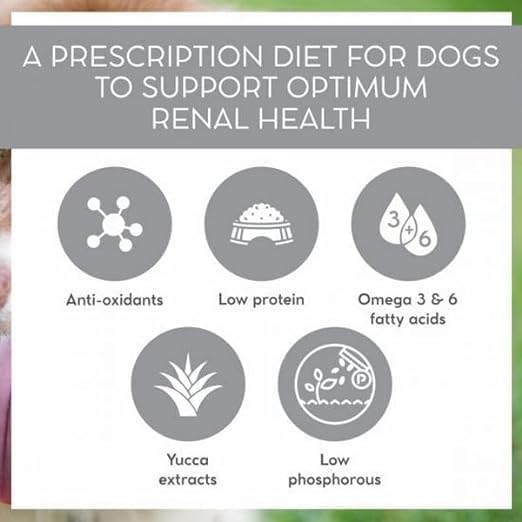 Image of Renal Dry Dog Food 8 Kg | Veterinary Formula for Kidney Support & Renal Health | Low-Protein, Controlled Phosphorus Dog Food with Chicken | Ideal for All Breeds & Life Stages