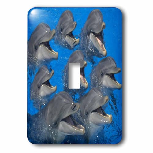 Interrupteur à bascule motif dauphins rieurs 3dRose lsp_80229_1 pour décoration murale