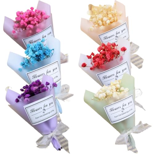 ZKGYUS 6 Piezas Mini Ramo de Flores Secas Naturales Flores Preservadas Flores Secas Pequeñas Decoracion Ramilletes Flores Secas Pequeñas Naturales Flores Secas para Manualidades,Marcos de Fotos