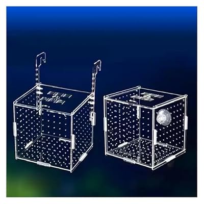 Transparent Acrylic Aquarium Isolation Box - Single & Double Grid Fry Breeding Tank for Fish Hatcheries(Hook)