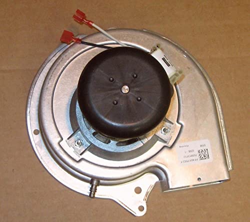 Bienka A200 Furnace Induced Ventilation Fan Motor For 24W95, 31L550, 313L5501, 7002-2975 Radiator #TOP1