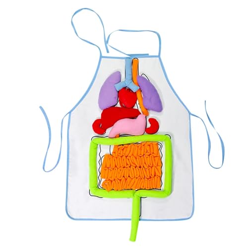 Juguetes de delantal humano, educación fisiológica, delantal educativo, delantal de enseñanza | Delantal de órganos 3D, delantal de anatomía animado, cuerpo humano, órganos, con
