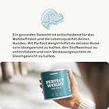 11-in-1 L-Carnitin & Cellulose Snack - Gewichtsmanagement für Hunde - Perfect Weight 270 Snacks (325g) von mammaly - Diätfutter kann beim Abnehmen Hund helfen - Futterzellulose zur Gewichtskontrolle