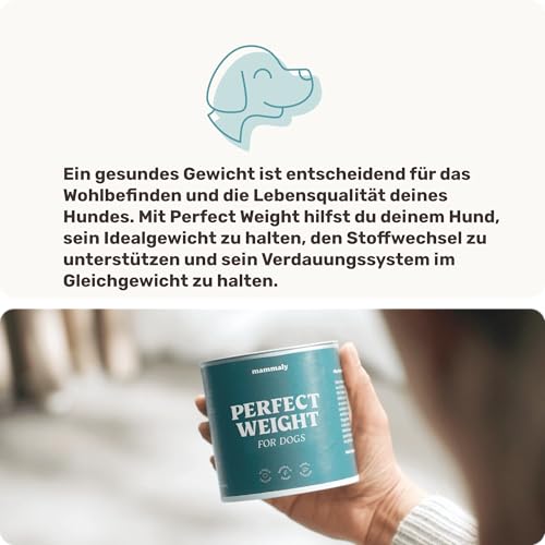 11-in-1 L-Carnitin & Cellulose Snack - Gewichtsmanagement für Hunde - Perfect Weight 270 Snacks (325g) von mammaly - Diätfutter kann beim Abnehmen Hund helfen - Futterzellulose zur Gewichtskontrolle