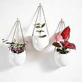 Set of 3 Ceramic Wall Planters Decor Small Hanging Vases Lovely Flower Pots