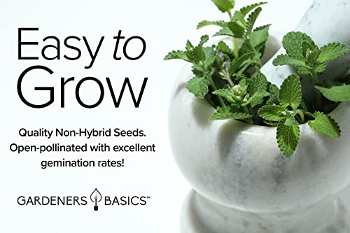 35 Herb Seeds for Planting Varieties Heirloom Non-GMO Seeds Indoors, Hydroponics, Outdoors - Basil, Lavender, Catnip, Cilantro, Oregano, Parsley, Peppermint, Rosemary and More by Gardeners Basics - Image 3