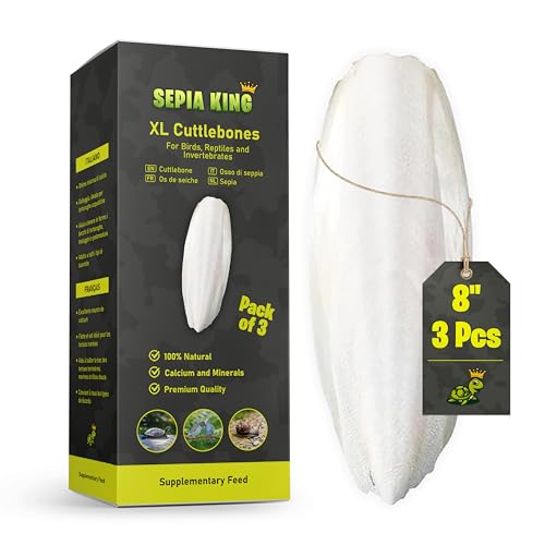Sepia King Extra Large 3-Pack