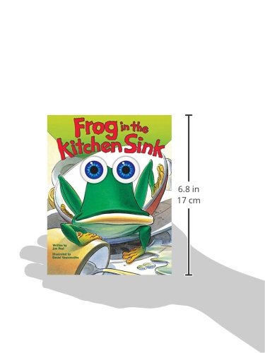 Frog in the Kitchen Sink