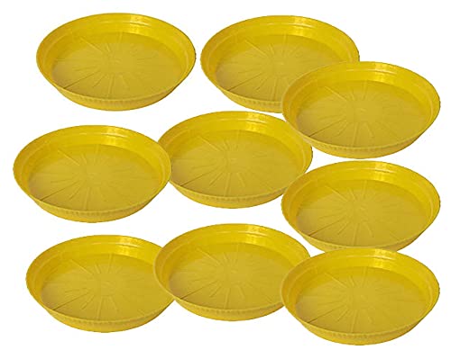 Oshi Greens 6 inches Plastic Garden Flower Planter Pot Saucer Base Trays Round for Holding Water Drips and Soil (Set of 9), Base Container Holding Small Plants Indoor Outdoor Gardening (Yellow) (B09G73RL9V) Amazon Price History, Amazon Price Tracker