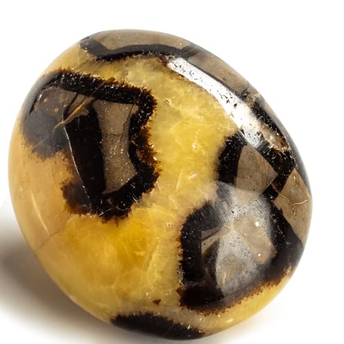 KALIFANO Septarian Palm Stone with Healing & Grounding Properties - AAA Grade High Energy Worry Stone with Information Card - Reiki Crystal Used for Positivity and Joy (Family Owned and Operated)