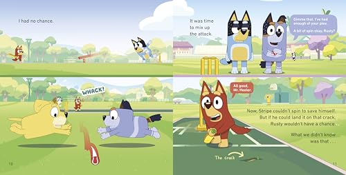 Bluey: Cricket