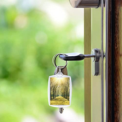 NALACAL Photo Keyring 30 Pieces Blank Photo Keyrings Double Sided Blank Insert Keychain Acrylic Clear Photo Key Rings with Split Ring for Crafting Gift for Family Friends Photo (4 x 5.5cm)