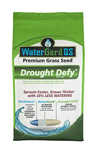 Mountain View Seeds 100483 Watergard Qs Drought Defy, Seed Mixture, 3 Lb #TOP2