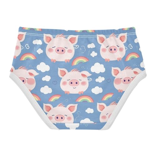 Wusikd Pig Face Girls' Underwear Cotton Rainbow Clouds Girls Briefs Soft Toddler Underwear 2T2