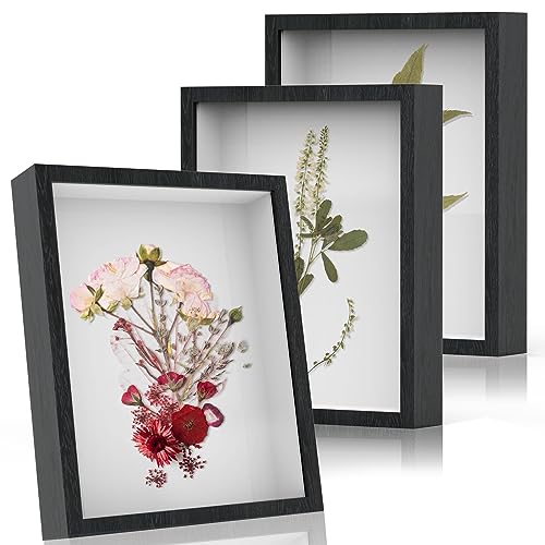 Shadow Box Frame Display Cases 8x10 - 3 Pack Deep Shadowbox Picture Frame with Galss 3D Display Wood Shadow Box Frame with Line Board (8x10-black, 3)