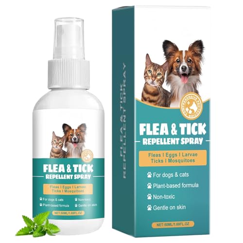 itch remedies for cats