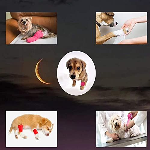 Feilibay 10 Pack Cohesive Bandage Wrap Self Adherent Vet Tape For Pets, Elastic Self Adhesive Wrap For Sports, Finger, Wrist, 2 Size (8Pack 2'' And 2Pack 1''), Black #TOP6