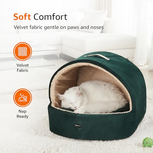 Image of Amazon Basics Pet Bed Cave | Soft & Warm Indoor Tent Bed for Cats, Kittens & Small /Medium Dogs (Pug, Beagle, Shih Tzu) | Foldable with Removable Cushion | Emerald Green & Beige | 59 x 56 x 48 cm