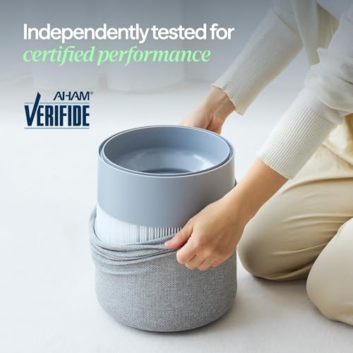 Blueair Pro air purifier large