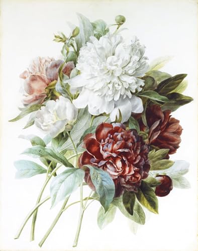 Art Mural Fleurs de Pierre Redouté pour Sublimer Votre Bureau