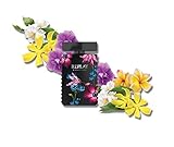  Replay Signature Eau De Parfum For Woman