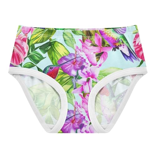 Colorful Hummingbirds Flowers Green Little Girl Panties Toddler Girls Underwear Cotton Bright Briefs Kids Undies 2t