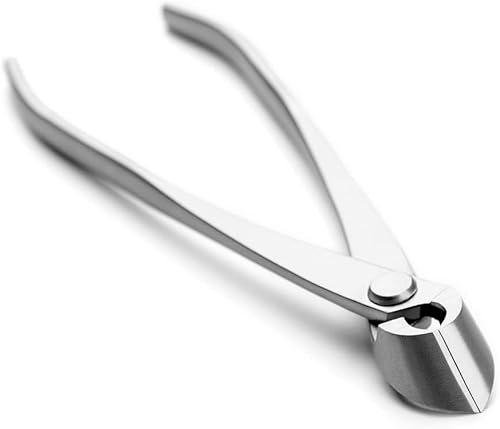 Miniatura 3 de tianbonsai 165 milímetros de rama cortador de borde recto Bonsai ramas cortador Bonsai Herramientas