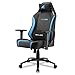 Sharkoon Chaise de Gaming, Acier allié Simili Cuir, Noir/Bleu, Normal