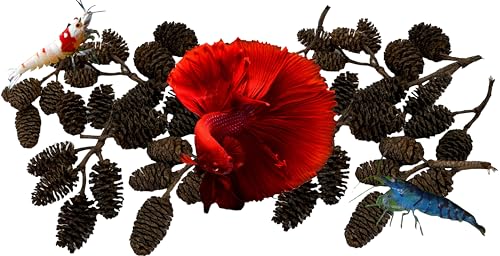 Awesome Aquatic 50 Alder Cones