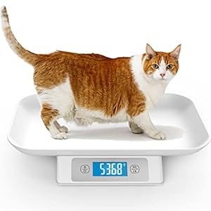 Digital Pet Scale for Puppy and Cats, Puppy Whelping Supplies Scale, Weigh Capacity 33 lbs (±0.03oz), Removable Tray Size 13.4 x 9.5 Inch, A Pet Scale for Adult Cats and Small Animals (Grey)