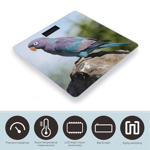 Báscula Digital Parrot Smart Body Weight para 180 kg miniatura 3