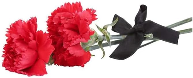 20mm Satin Ribbon 22 Meter, Double Sided Polyester Ribbon, Enhance Your Crafts & Celebrations, Best for Gift Wrapping, Decorations, Wedding Car Ribbon, Ribbons for Crafting (Black)