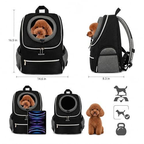 BAGLHER Dog Carrier Backpack for Small Dogs - Front Breathable Pet Backpack with Safety Buckle, Adjustable Hands-Free Design for Hiking, Cycling, Camping & Outdoor Use - Black, Size M (5-9 lbs) by BAGLHER - Image 2