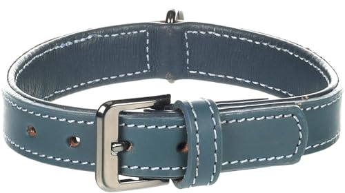 Collier Denver bleu 31-37cm accessoire de promenade chien 25mm