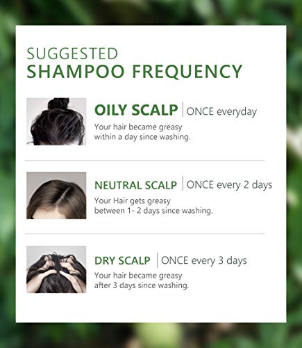 Aromase Anti-Oil Essential Shampoo für fettiges Haar 90 ml